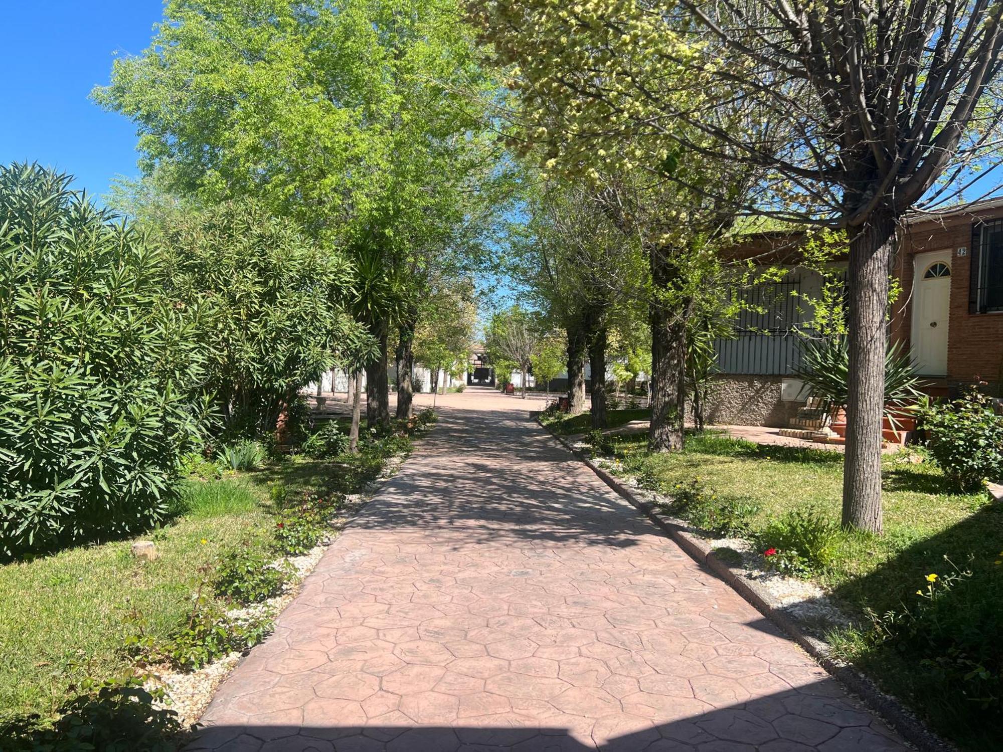 Bungalow Padul El Mamut Экстерьер фото